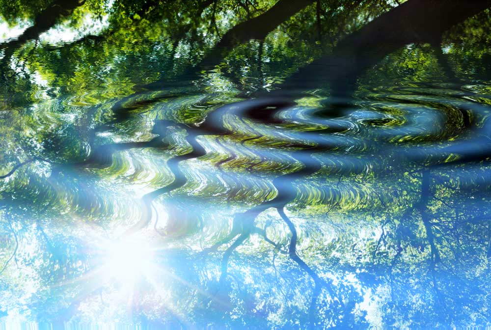 Tree Ripple