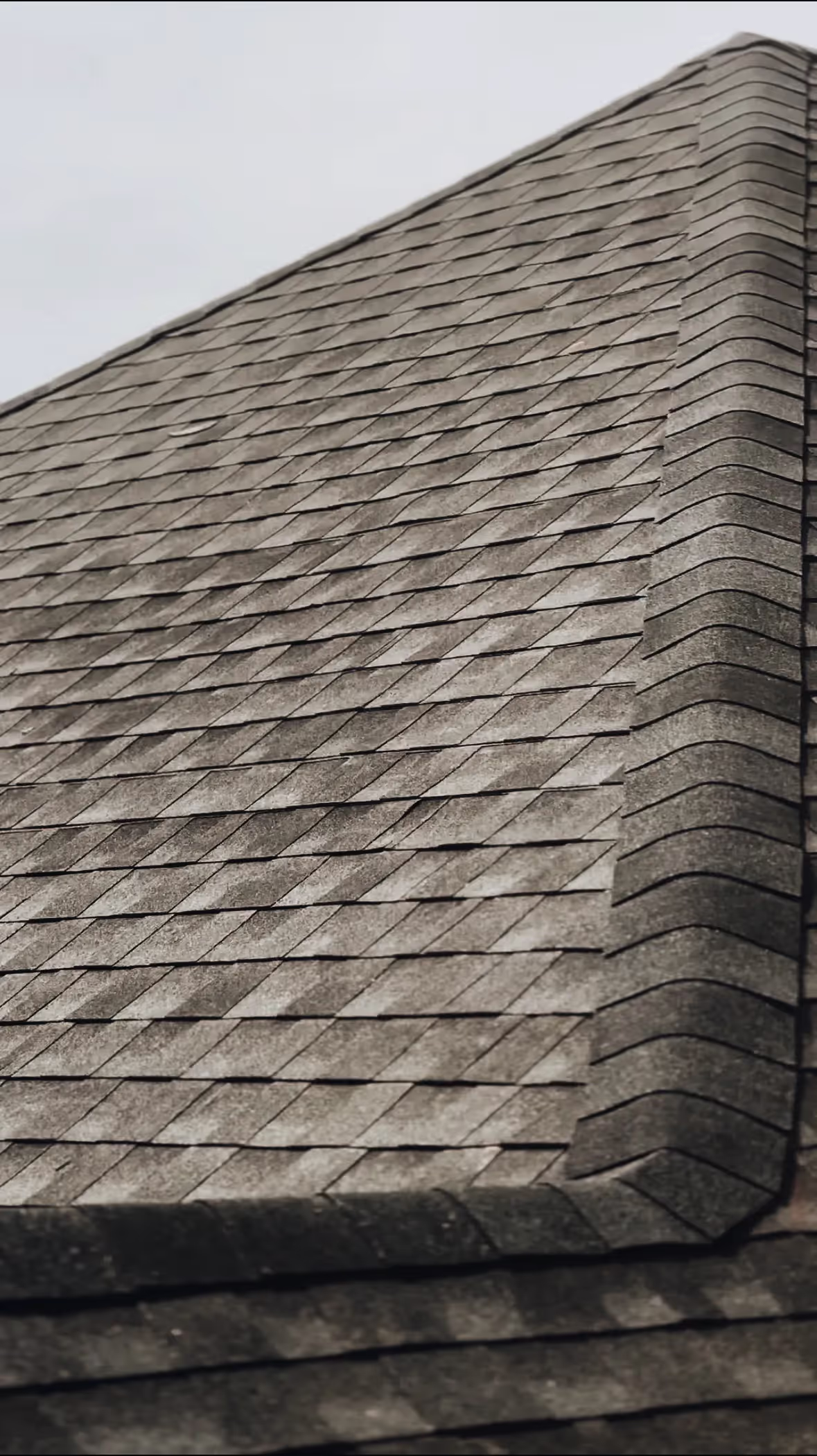 Shingle Roof