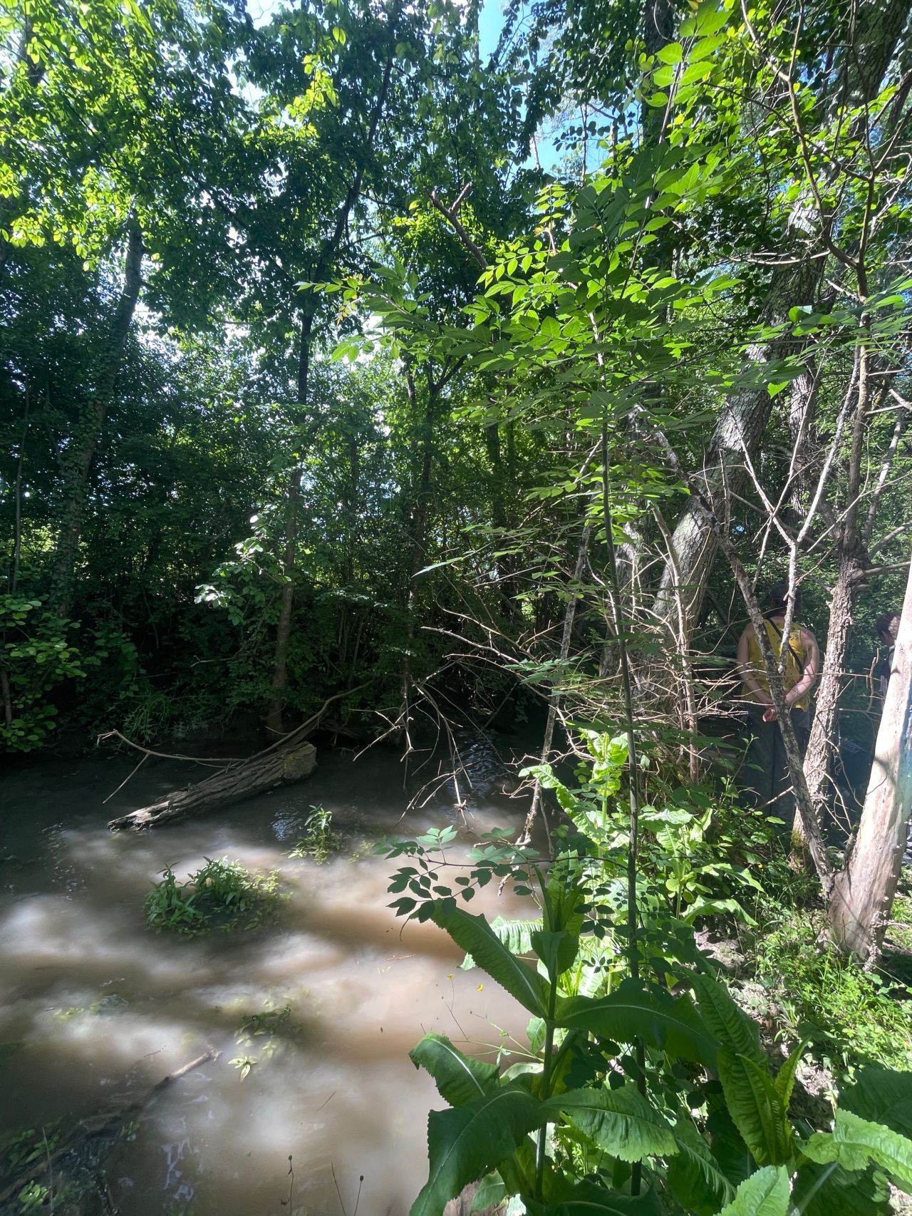 Dam project
