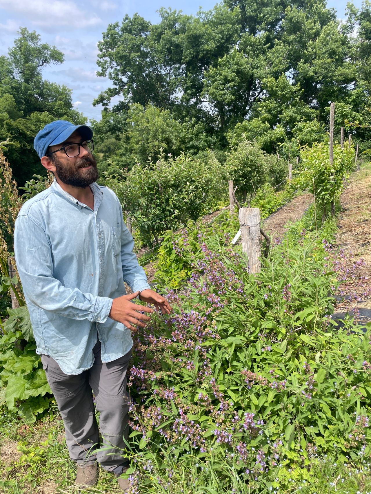 Farmer Emmanuel Negrosini