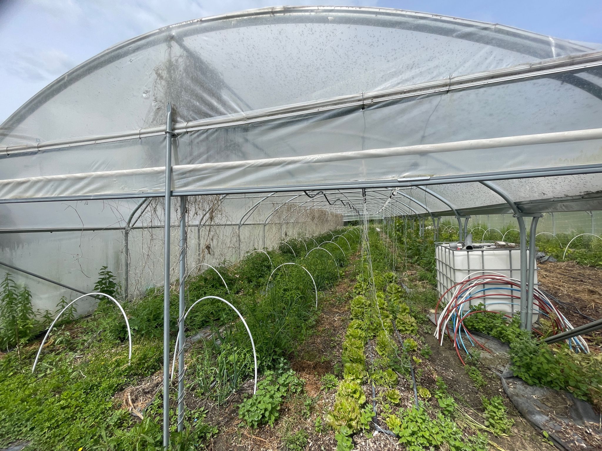 Permaculture farm