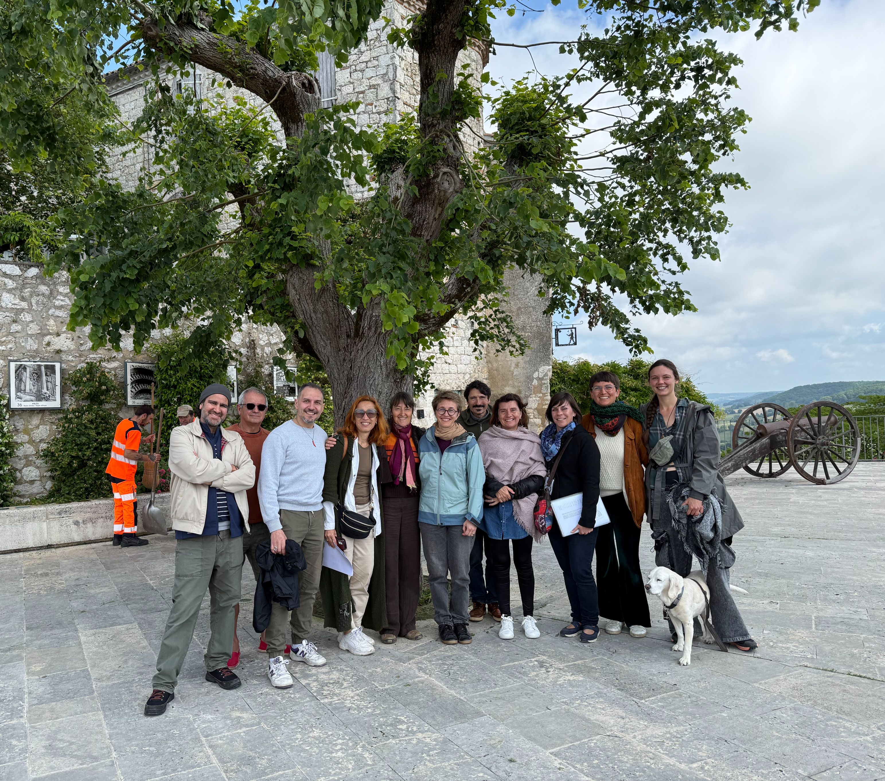 Immersion Group