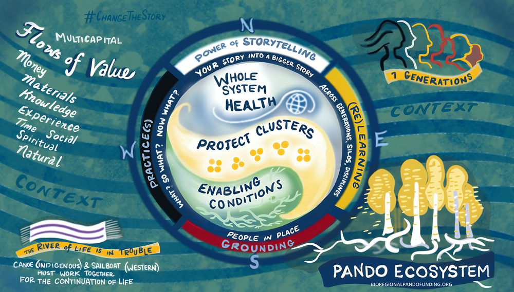 Pando Ecosystem