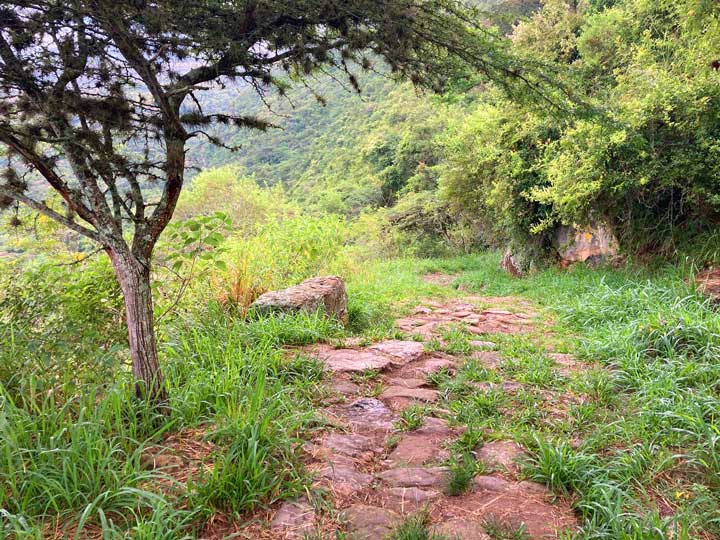 Path