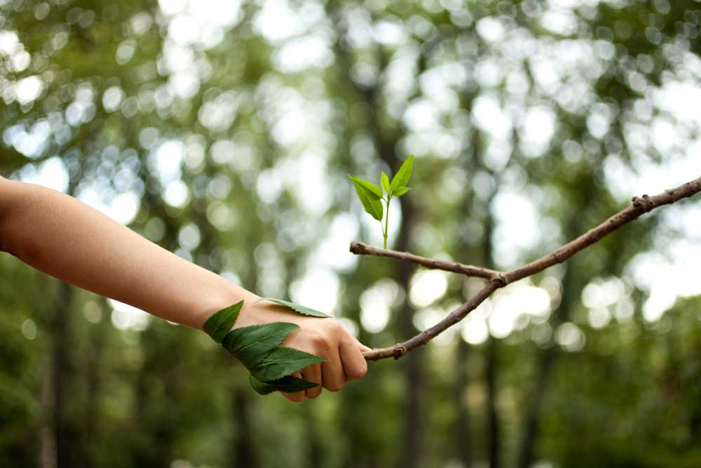 Handshake between human hand and tree