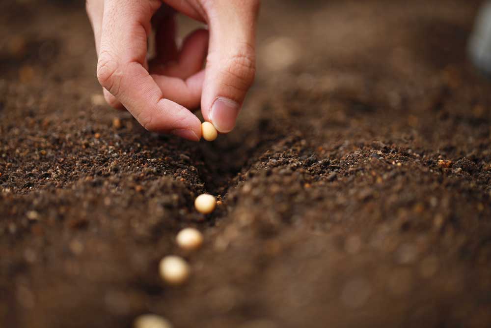 Monitoring the seeds you plant