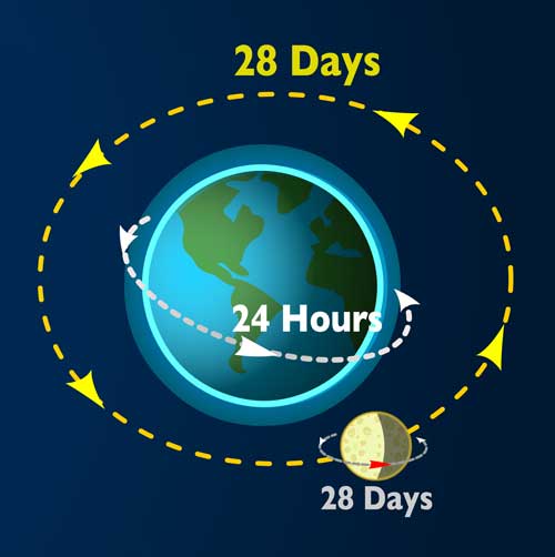 Earth's Rotation