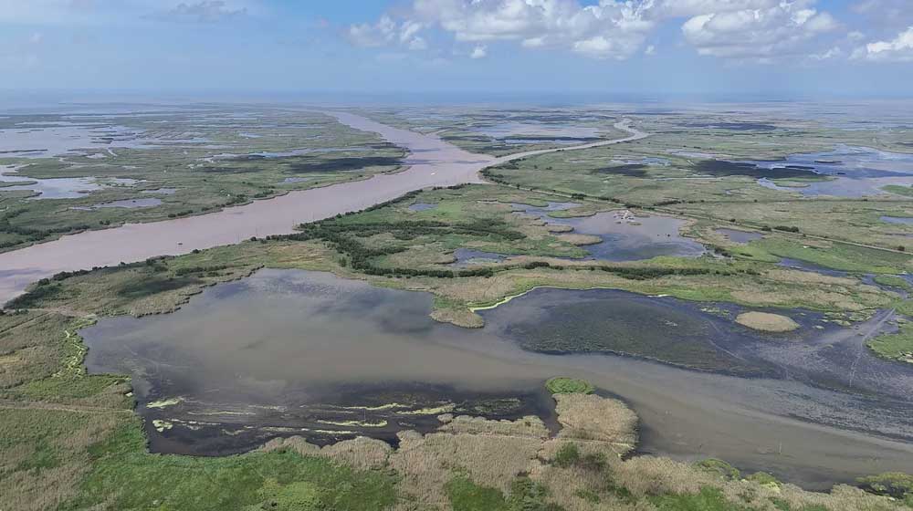 Mississippi Delta