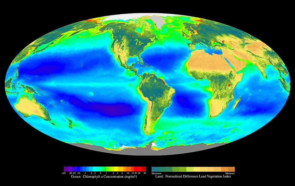Global Map of Net Primary Production © SeaWiFS Project, NASA/Goddard Space Flight Center, ORBIMAGE