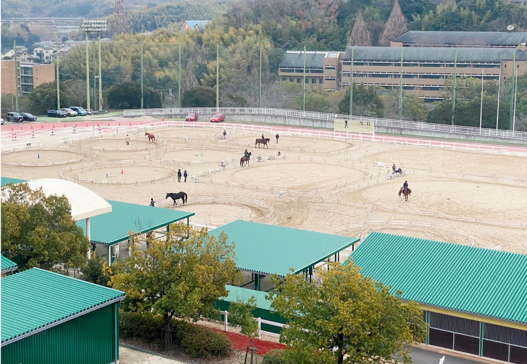 クレイン学研枚方の馬場