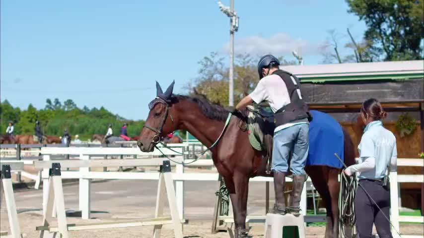 乗馬用品 両備クレイン岡山にて購入の通販はau PAY マーケット - 輸入 
