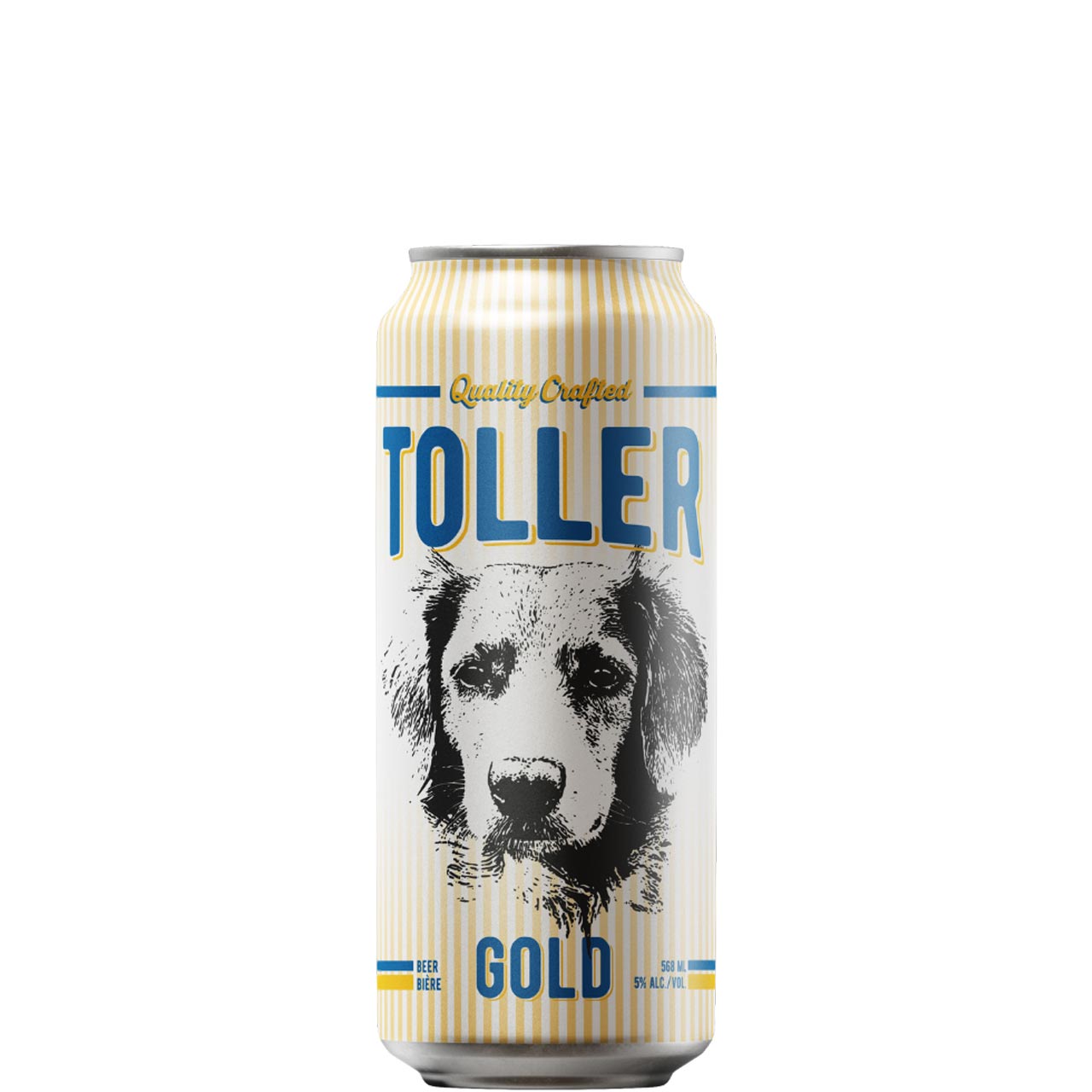 Toller Gold Lager Big Dog Can (600)