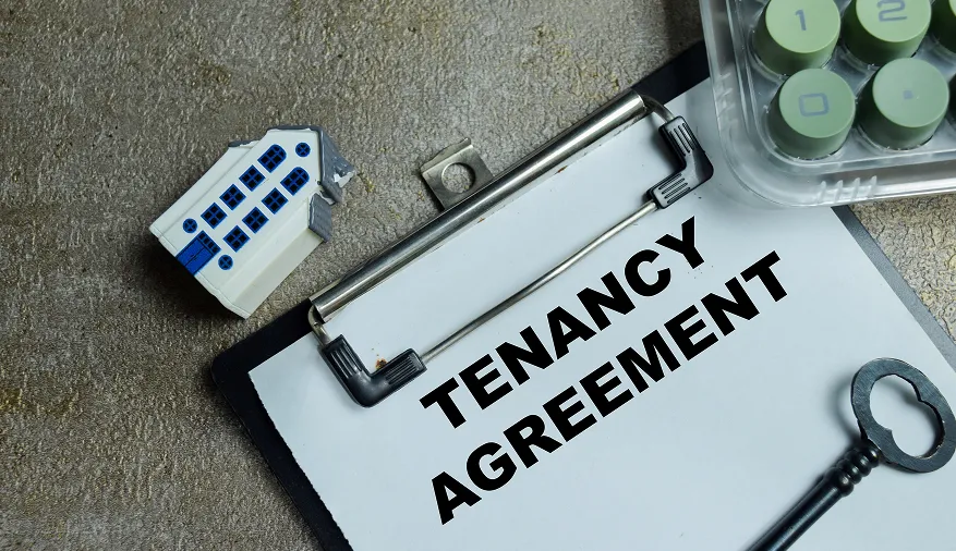 check previous tenancy details and history