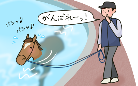 馬のプールイメージ