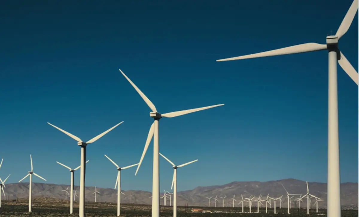 Renewabl — Case study