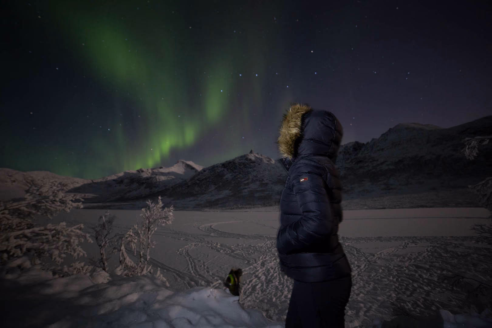 Person in a dark winter jacket with fur-lined hood standing on snowy ground at night, viewing green northern lights over snow-covered mountains and starry sky.