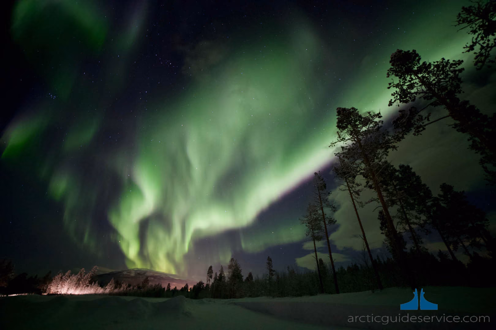 Vibrant green northern lights swirl across a starry night sky above a snowy forest landscape with tall trees silhouetted.