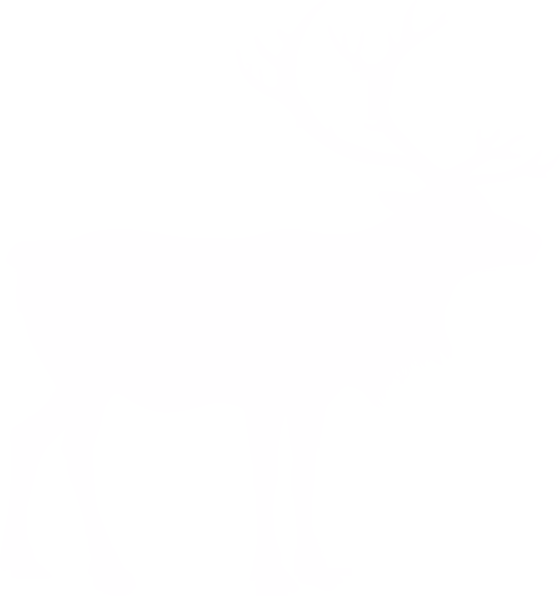 Reindeer and Sami Culture