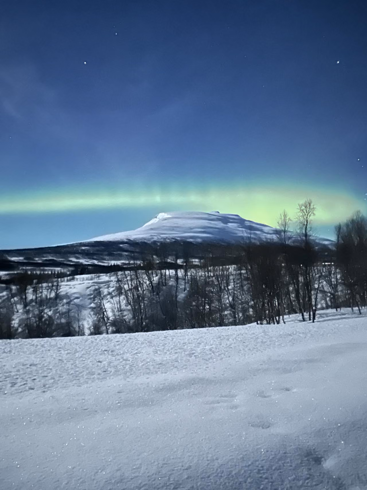 Snow-covered mountain under a night sky displaying a faint green aurora borealis with scattered stars and snow-covered trees in the foreground.