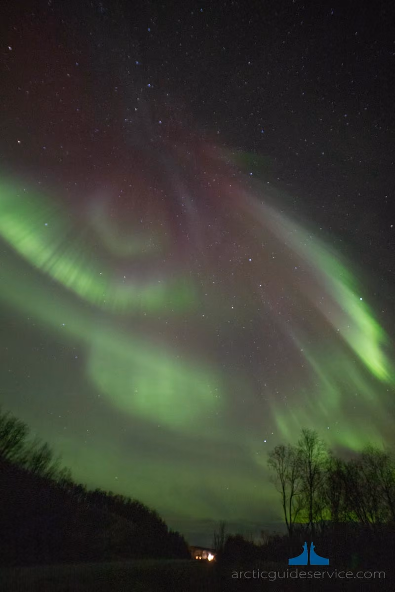 Night sky with vibrant green and faint red Northern Lights (aurora borealis) above dark silhouettes of trees and a faintly lit horizon.