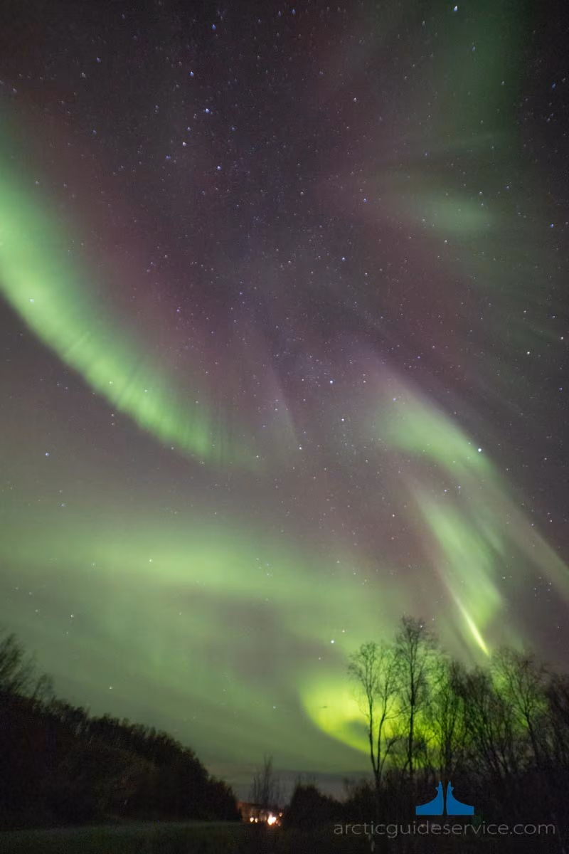 Night sky with green aurora borealis and stars above silhouetted trees and faint lights on horizon.
