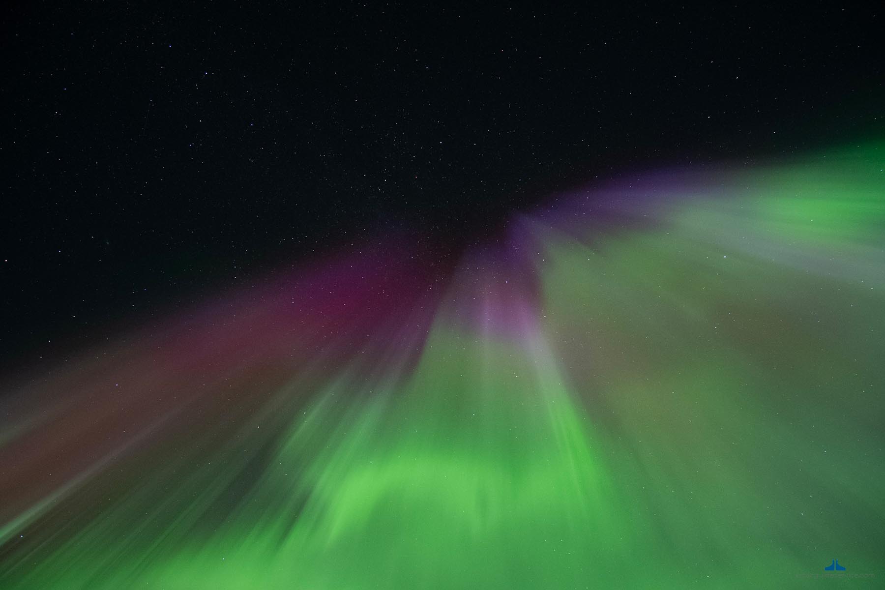 Northern lights tour guide service in Tromso