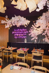 Bouillon et nouilles maison — Yatai Ramen Montparnasse