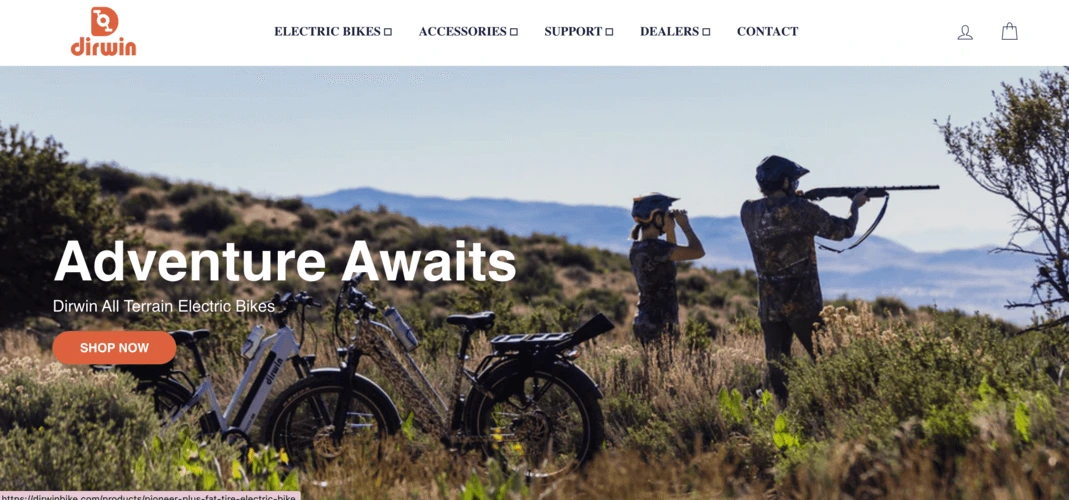 Sirwin-website