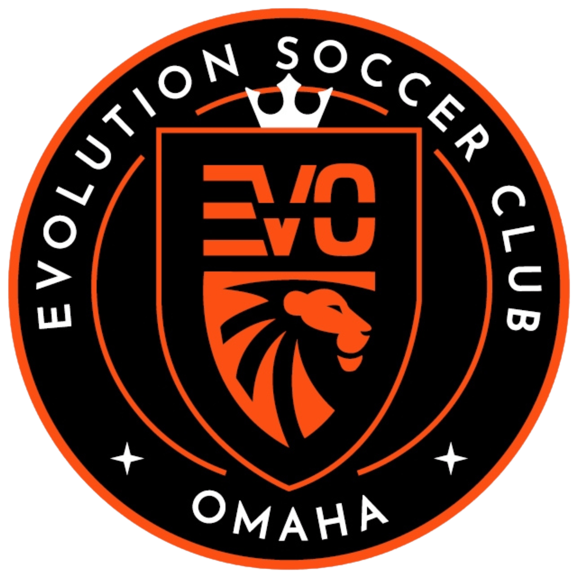 The Evolution of FVS: Beyond Simple Spending Limits