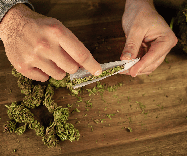Man preparing cannabis