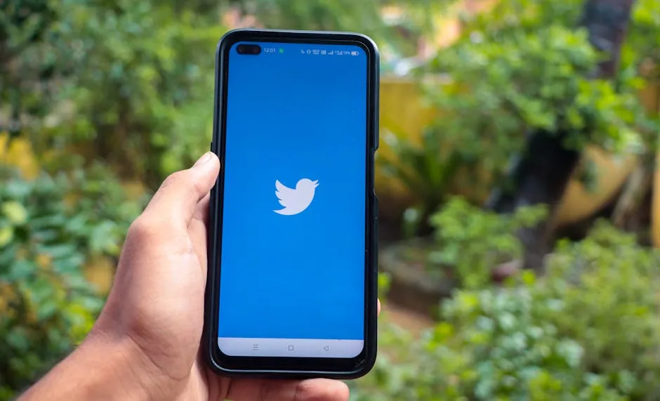 green social media app - green social media app green social media app - green social media app