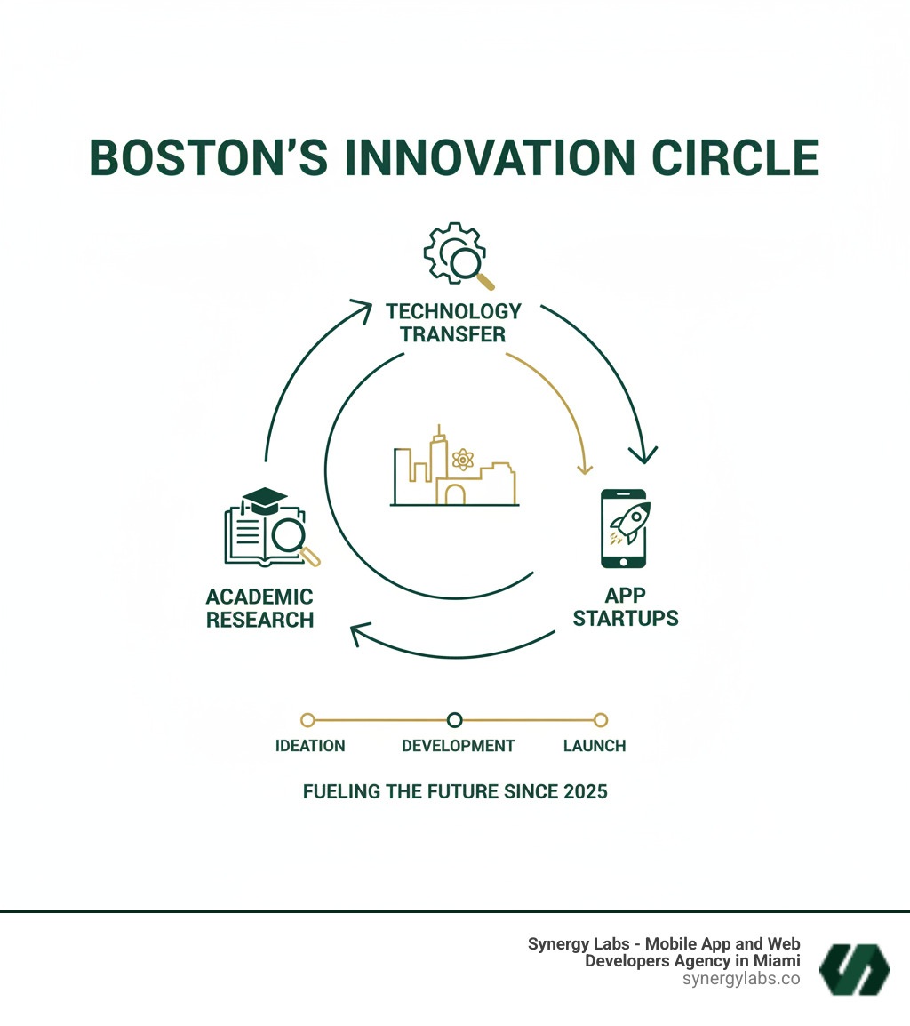 Boston Innovation Circle Flow: Universities conduct research and generate ideas, which flow to VCs and angel investors for funding, then to app startups and development teams for commercialization, leading to market success and talent reinvestment back into the academic system - Boston’s Innovation Circle: From Academic Research to App Startups infographic 