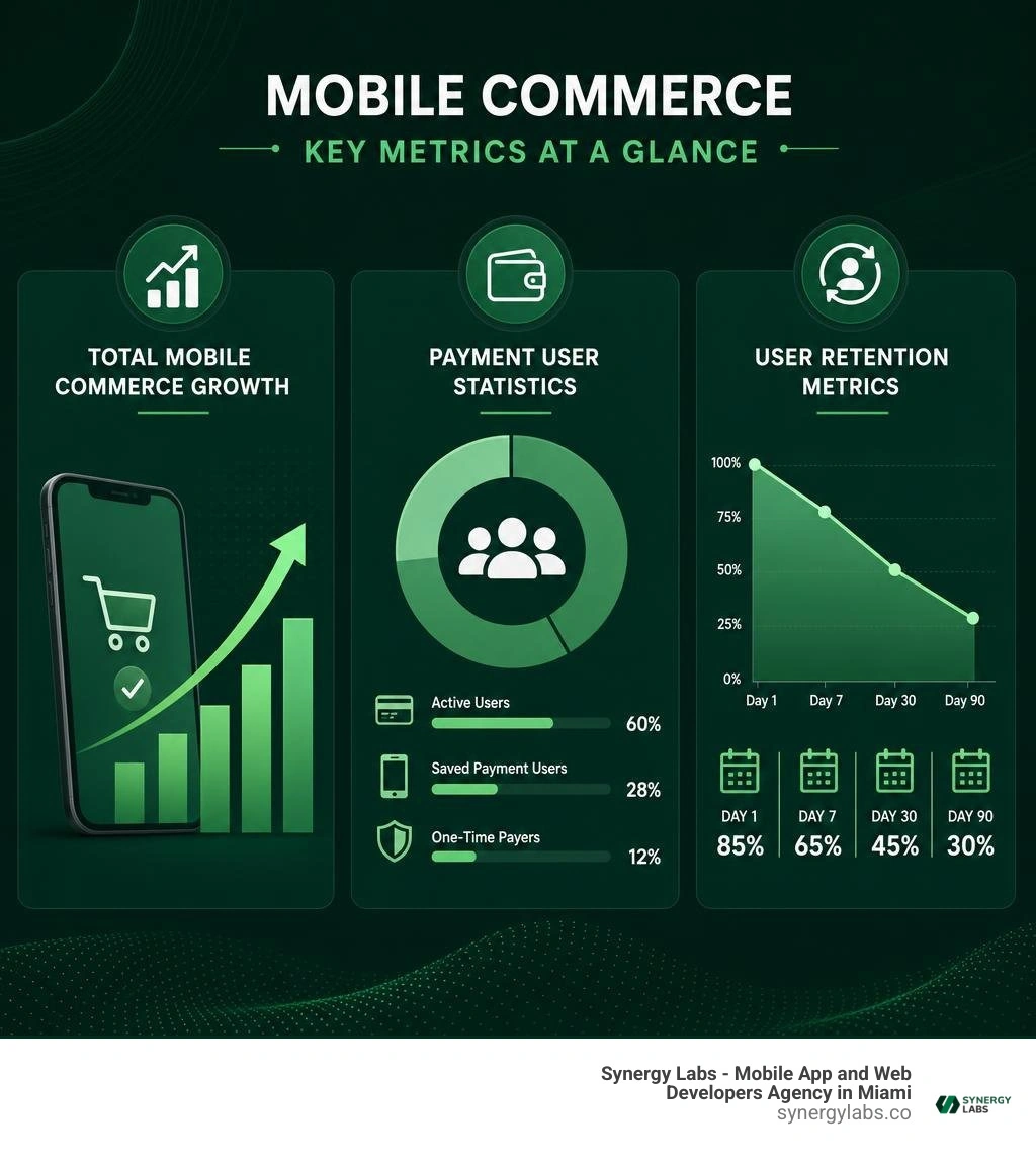 Infographic showing total mobile commerce growth, payment user statistics, and user retention metrics infographic Infographic showing total mobile commerce growth, payment user statistics, and user retention metrics infographic