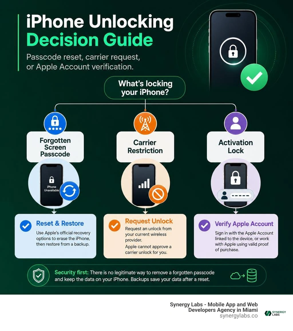 iPhone unlocking decision guide: passcode reset, carrier request, or Apple Account verification infographic iPhone unlocking decision guide: passcode reset, carrier request, or Apple Account verification infographic