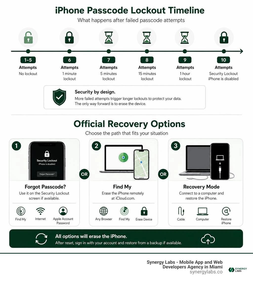 iPhone passcode lockout timeline and official recovery options infographic