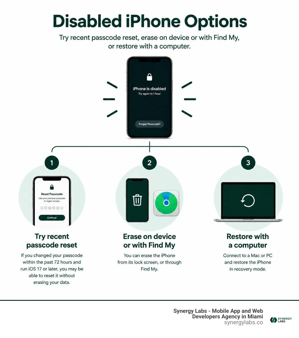 Disabled iPhone options: try recent passcode reset, erase on device or with Find My, or restore with a computer infographic Disabled iPhone options: try recent passcode reset, erase on device or with Find My, or restore with a computer infographic
