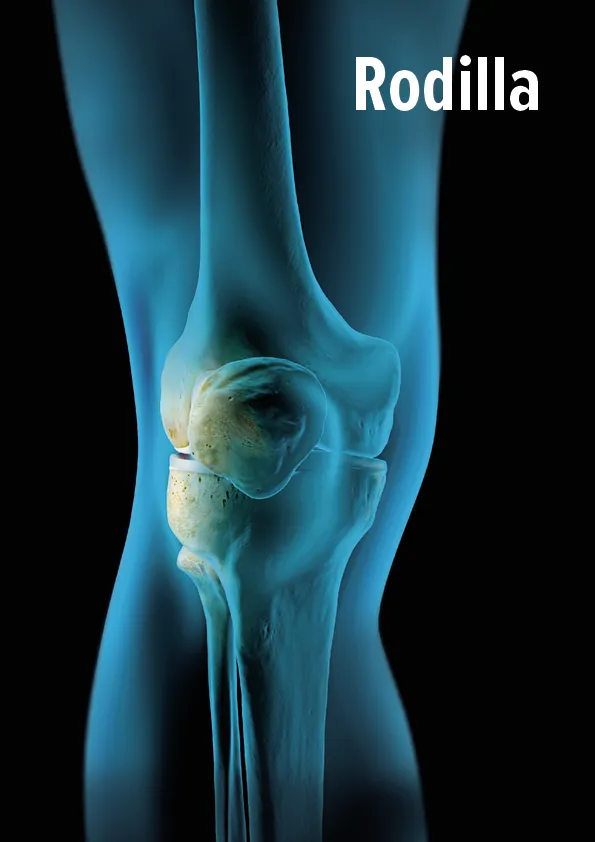 Folleto de rodilla.