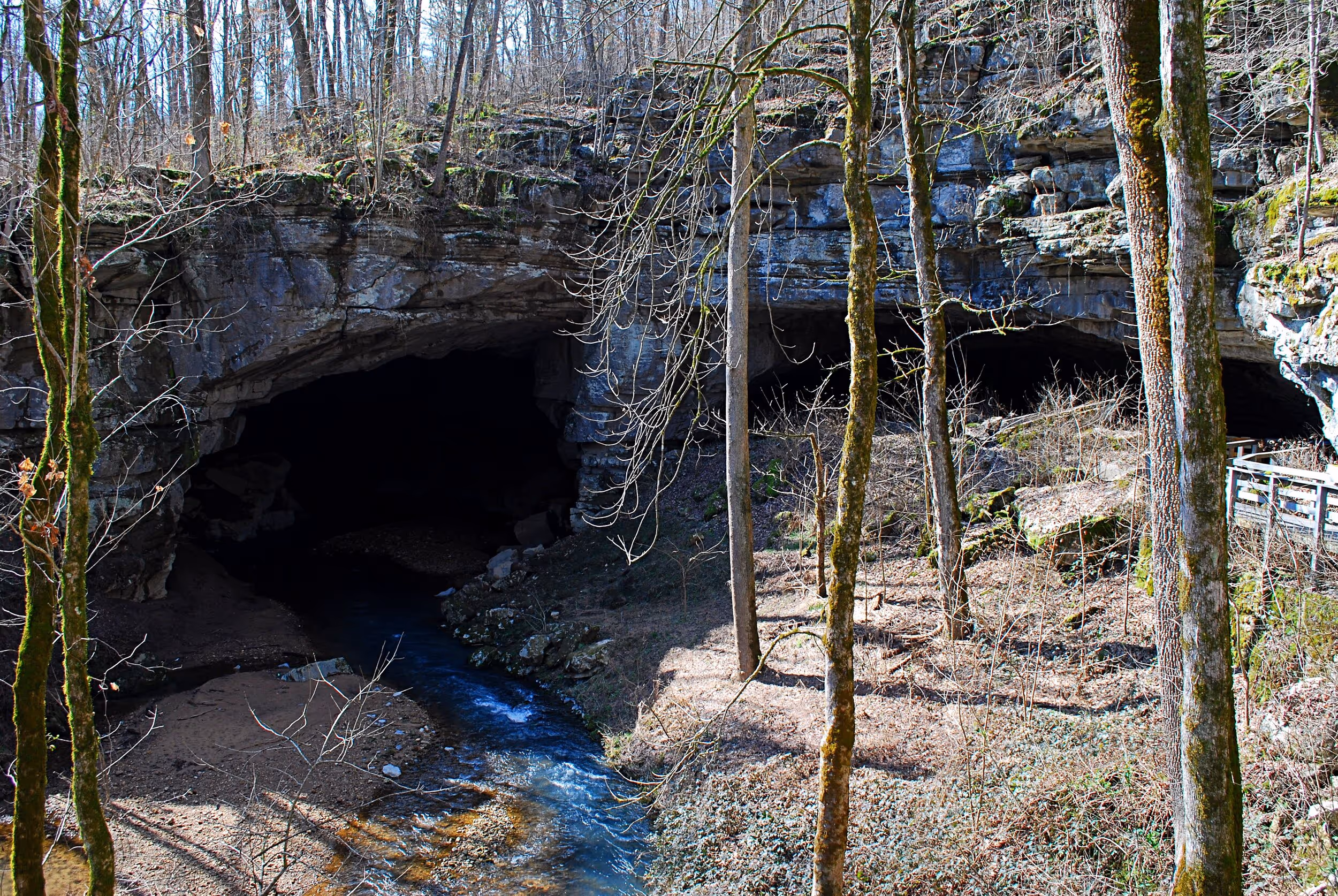 A stream flows into the left side of Russell Cave. Photo © Bob Butters