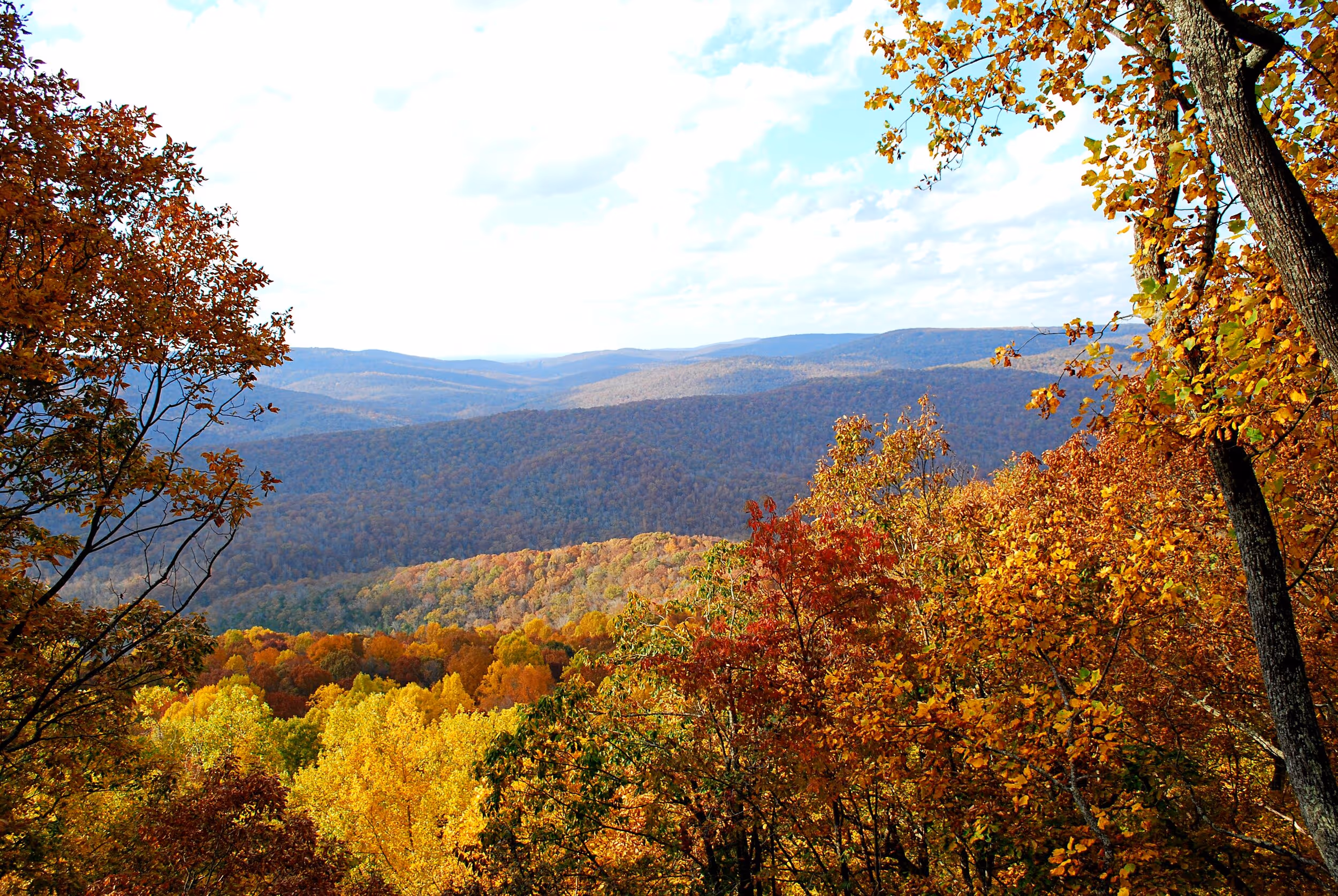 The overlook in adjacent Sherwood Forest. Photo © Bob Butters