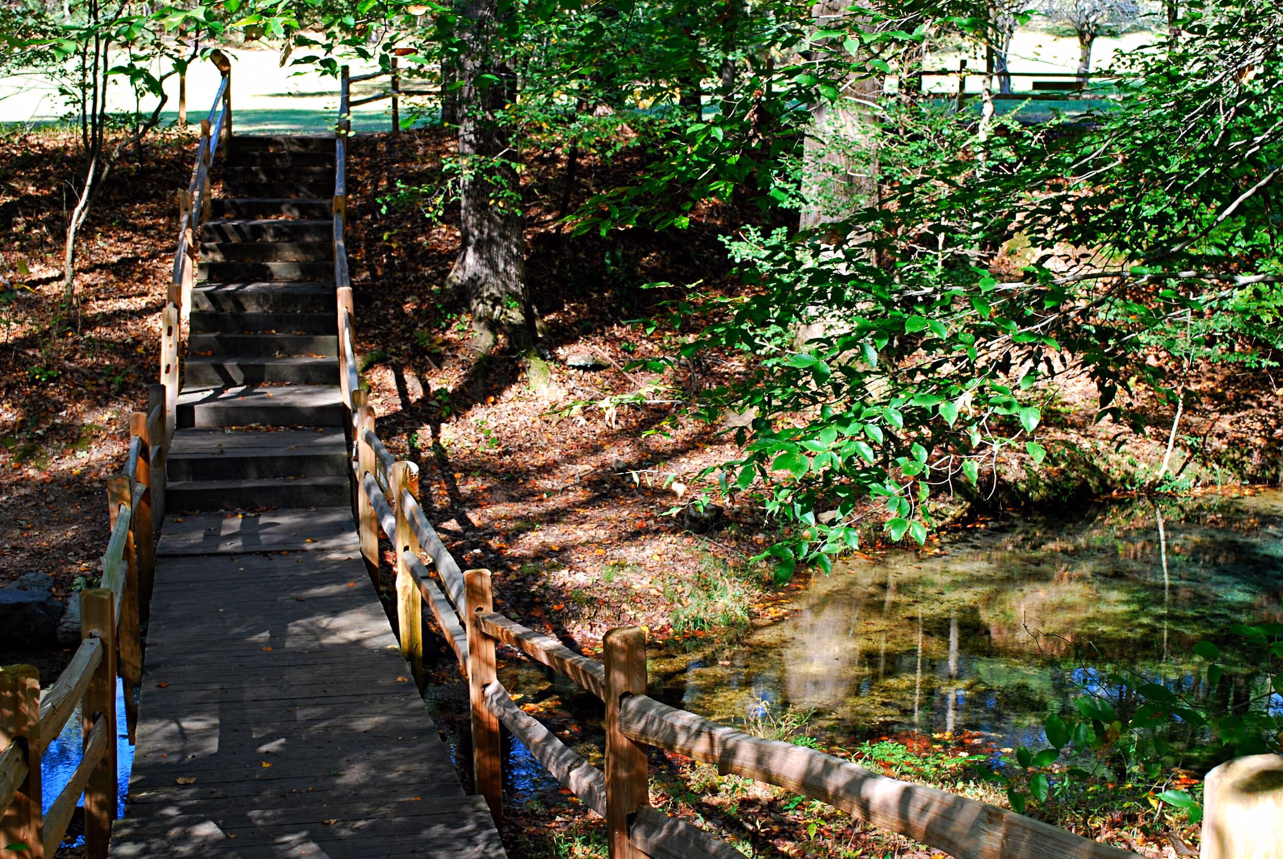 The Council Spring (to the right of the walkway). Photo © Bob Butters