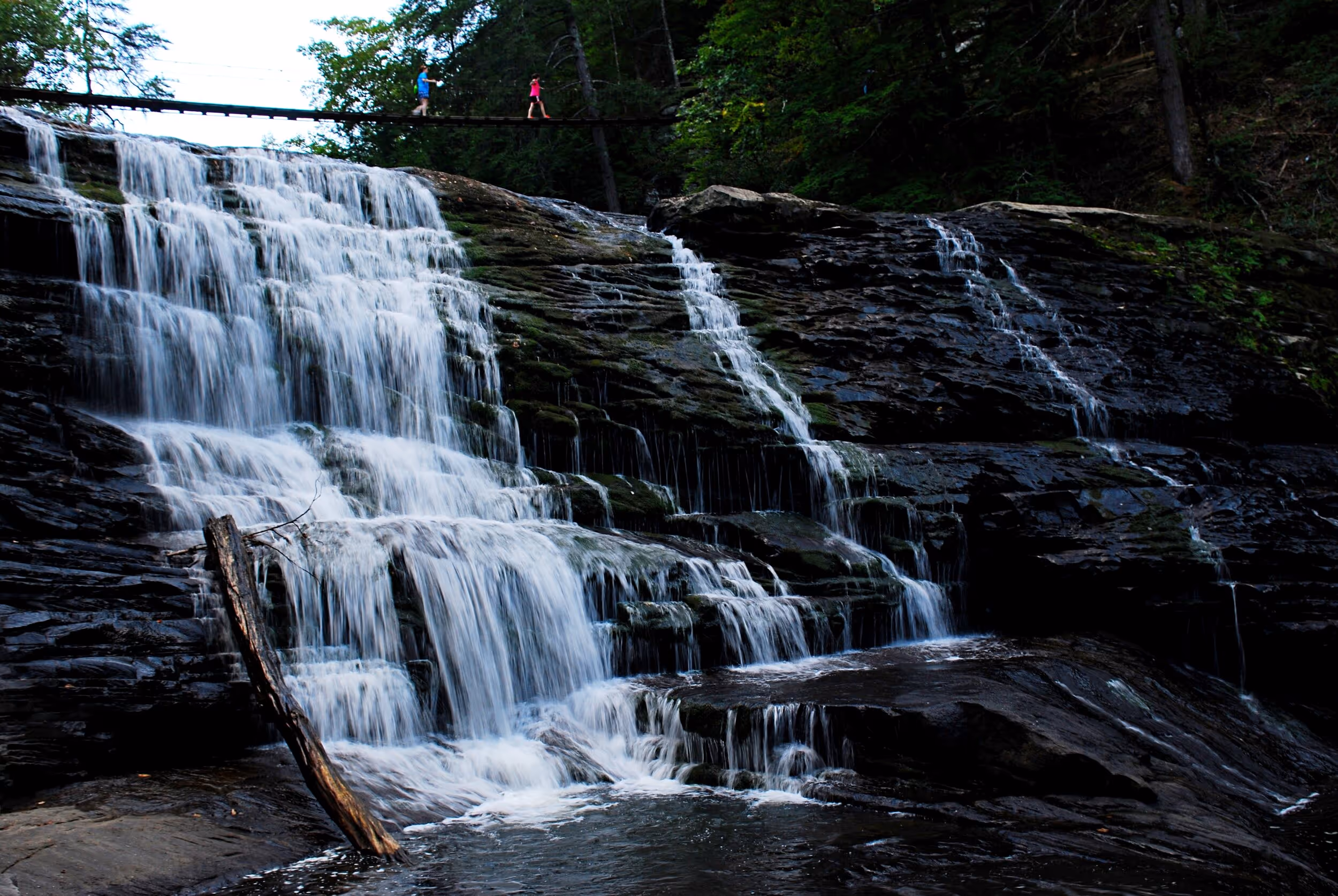 The Woodland Trail crosses on a suspension bridge just above Cane Creek Cascade. Photo © Bob Butters