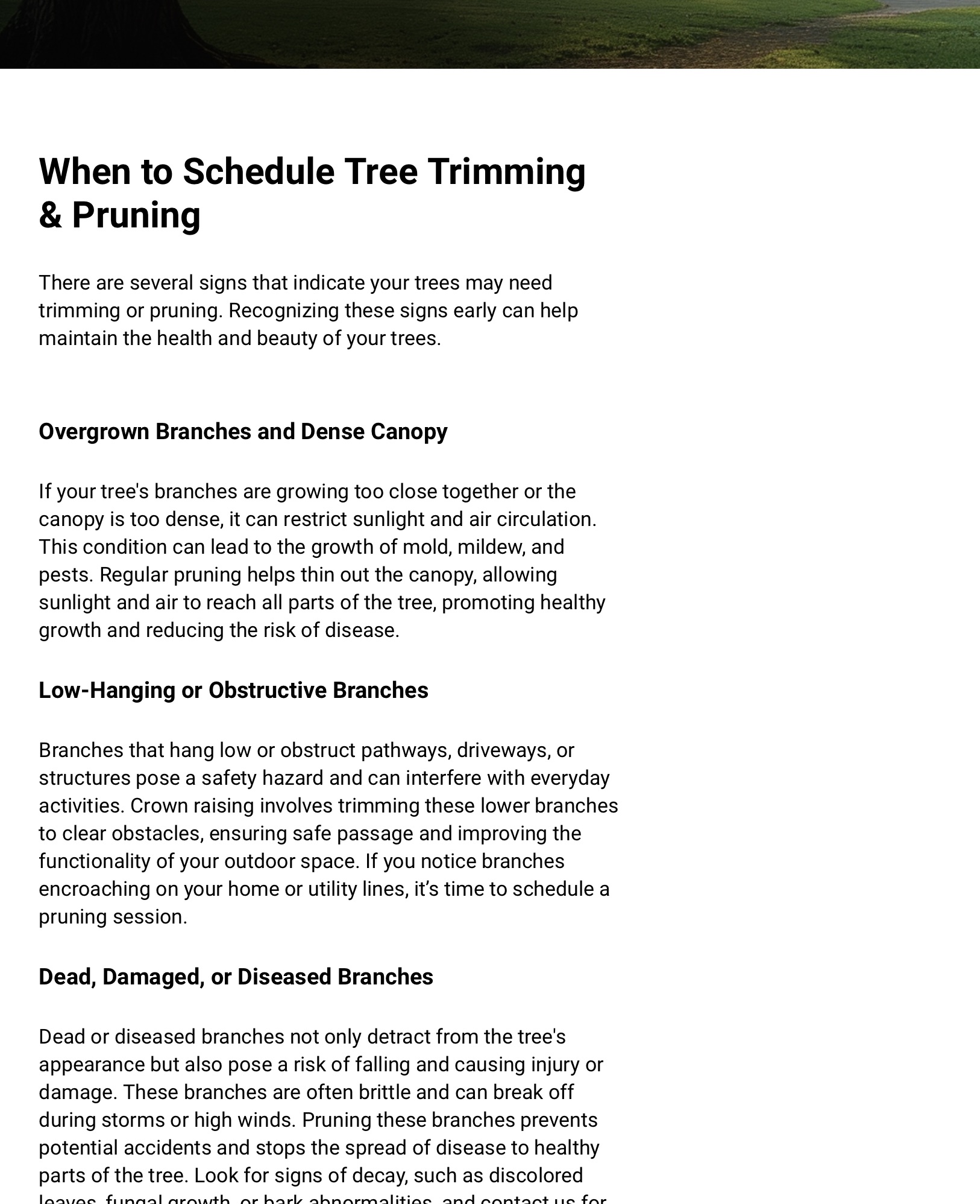 Our rank and rent website services, picture 2 
