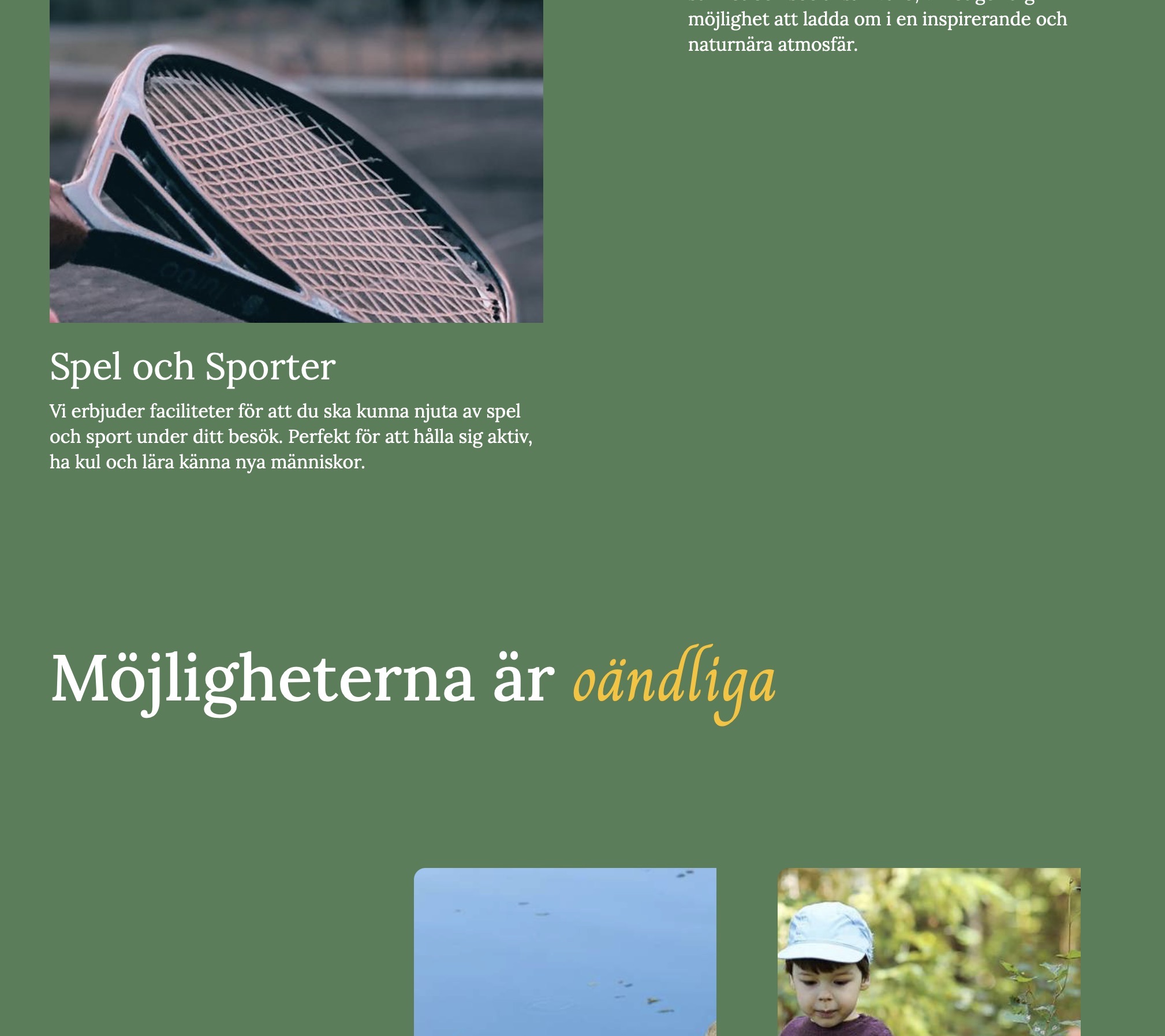 Our high end premium website package, example project, picture 2