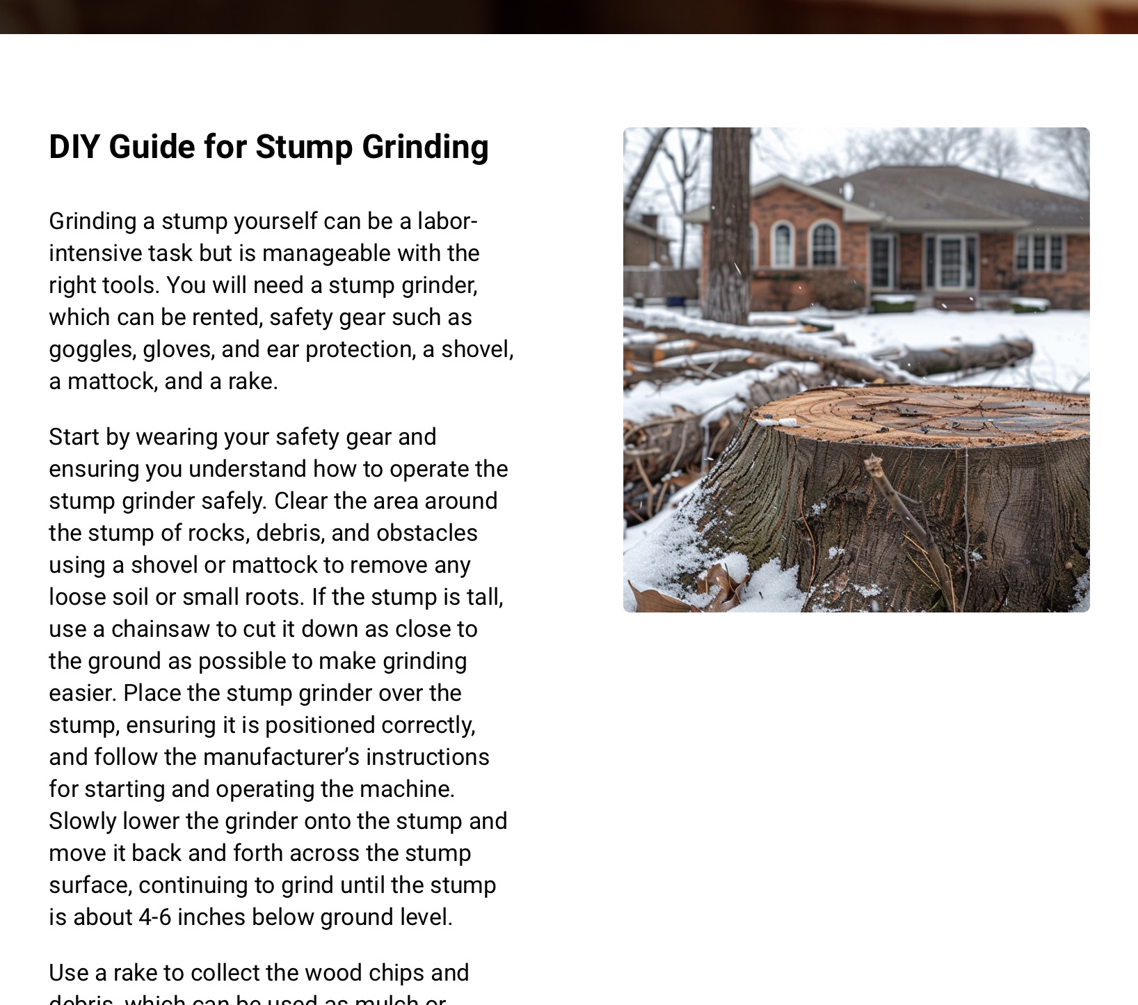 Our rank and rent websites, picture 3
