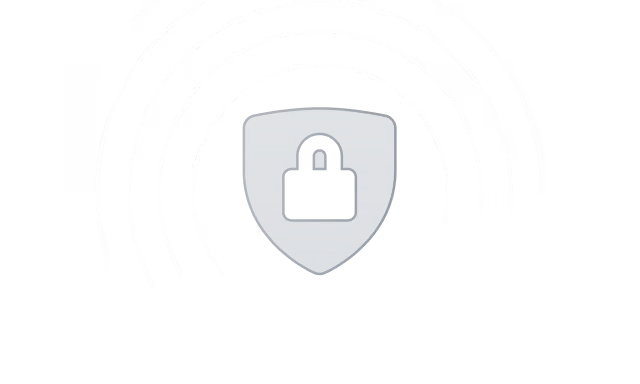 an icon of a lock indicating security