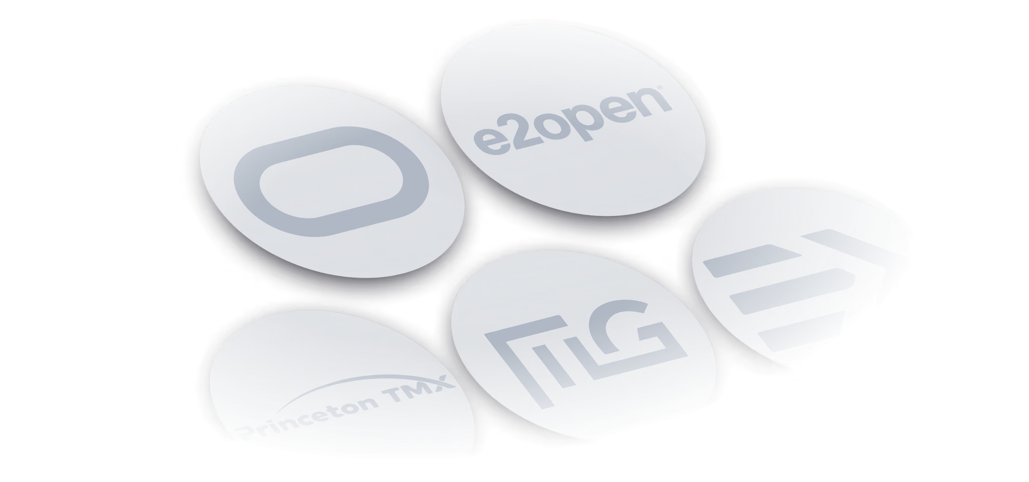 Cluster of dark gray pill-shaped objects with logos including e2open, Princeton TMX, and others.
