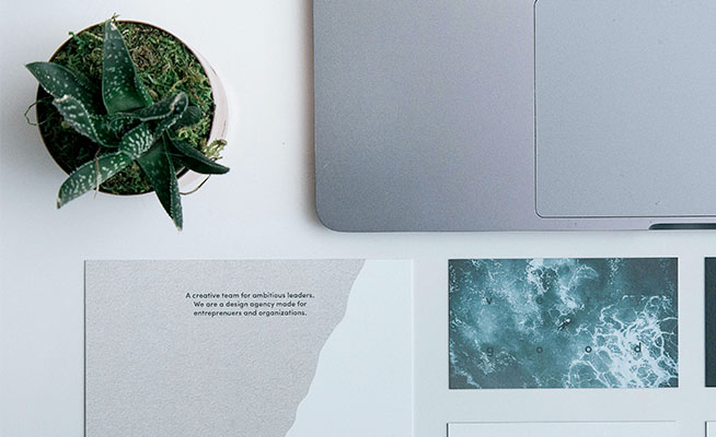 Top top with stationary, laptop and a succulent.
