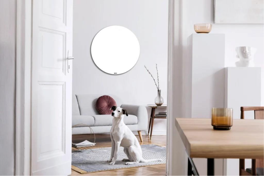A dog sitting on a rug in a living roomAI-generated content may be incorrect.
