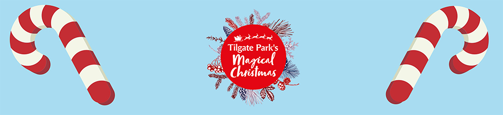 Tilgate Park's Magical Christmas returns for 2025!