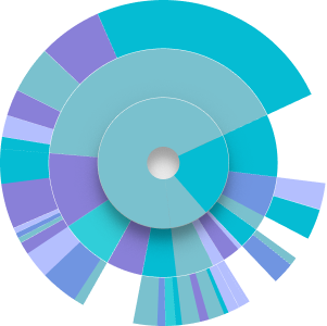 An illustration shwoing a sunburst chart for displaying code coverage
